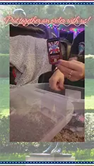 Instagram Thumbnail